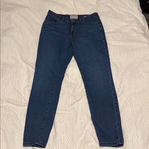 Everlane Mid Blue Women's Authentic Stretch Skinny Jeans